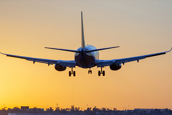 空運、海運、專線